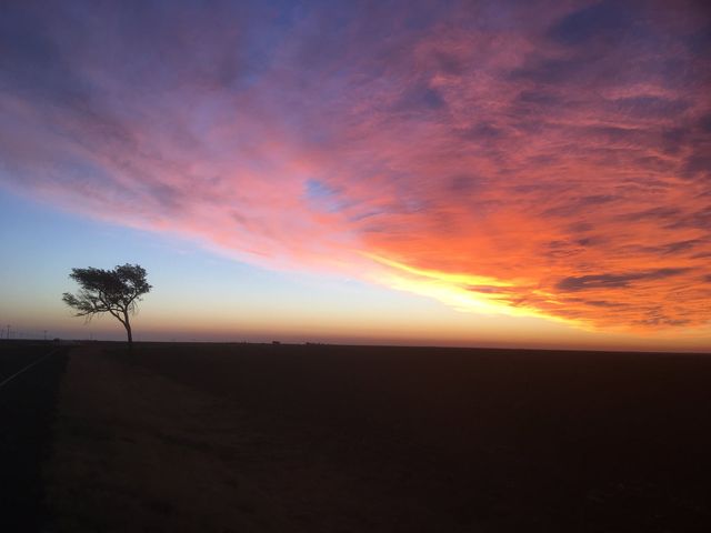Dusk on the plains